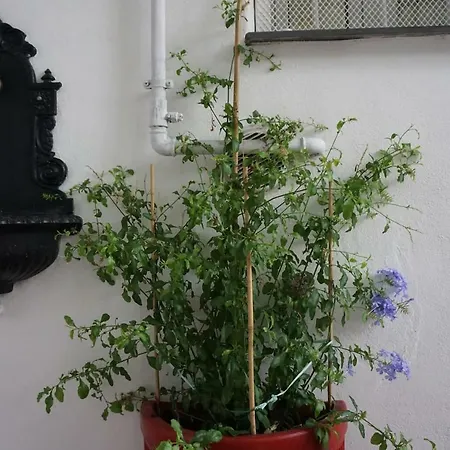 Apartamento Otello